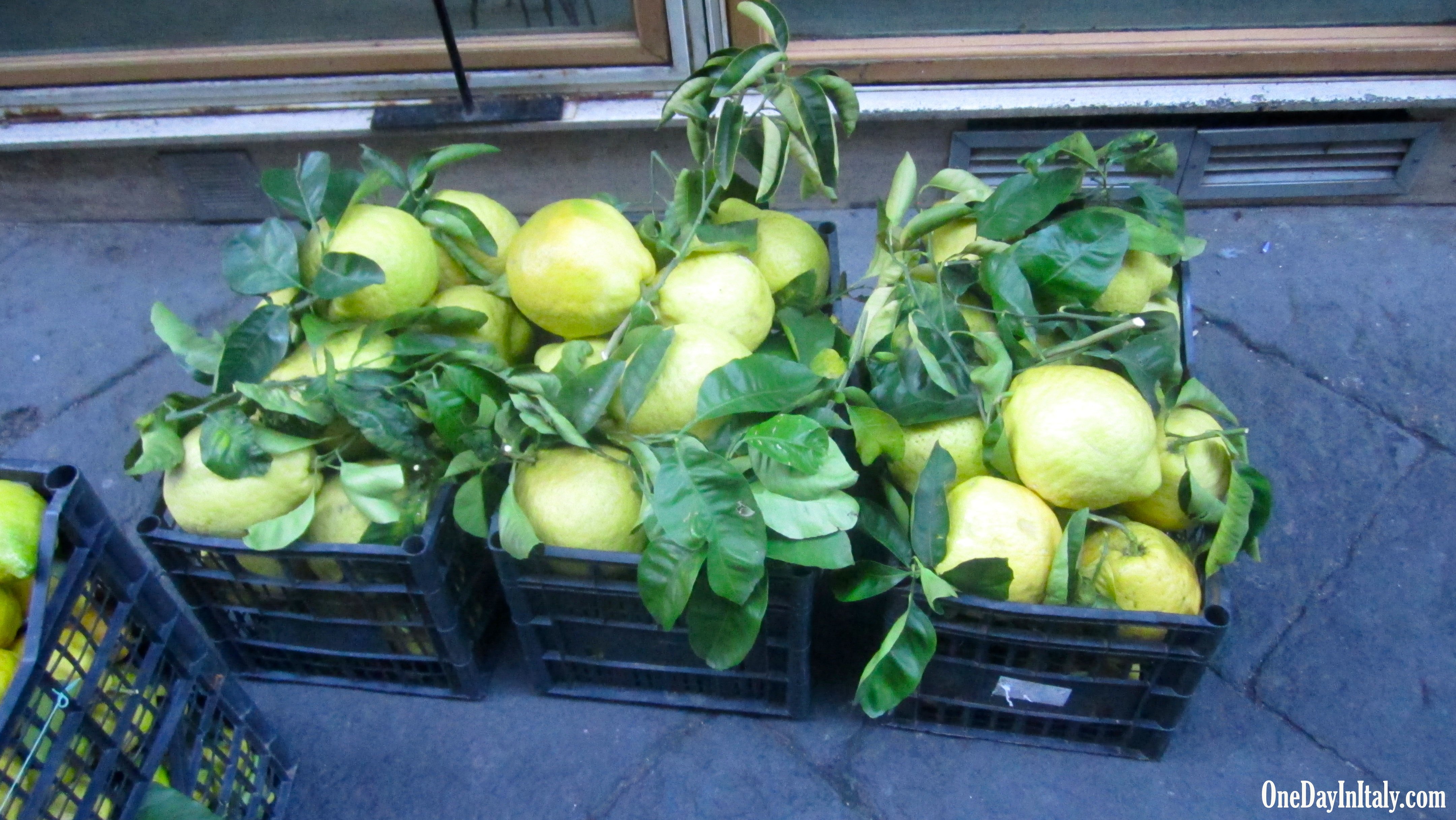 Sorrento's Giant Lemons