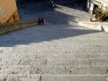 Stairs of Amalfi's Duomo
