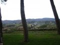 View from Arezzo's Public Park