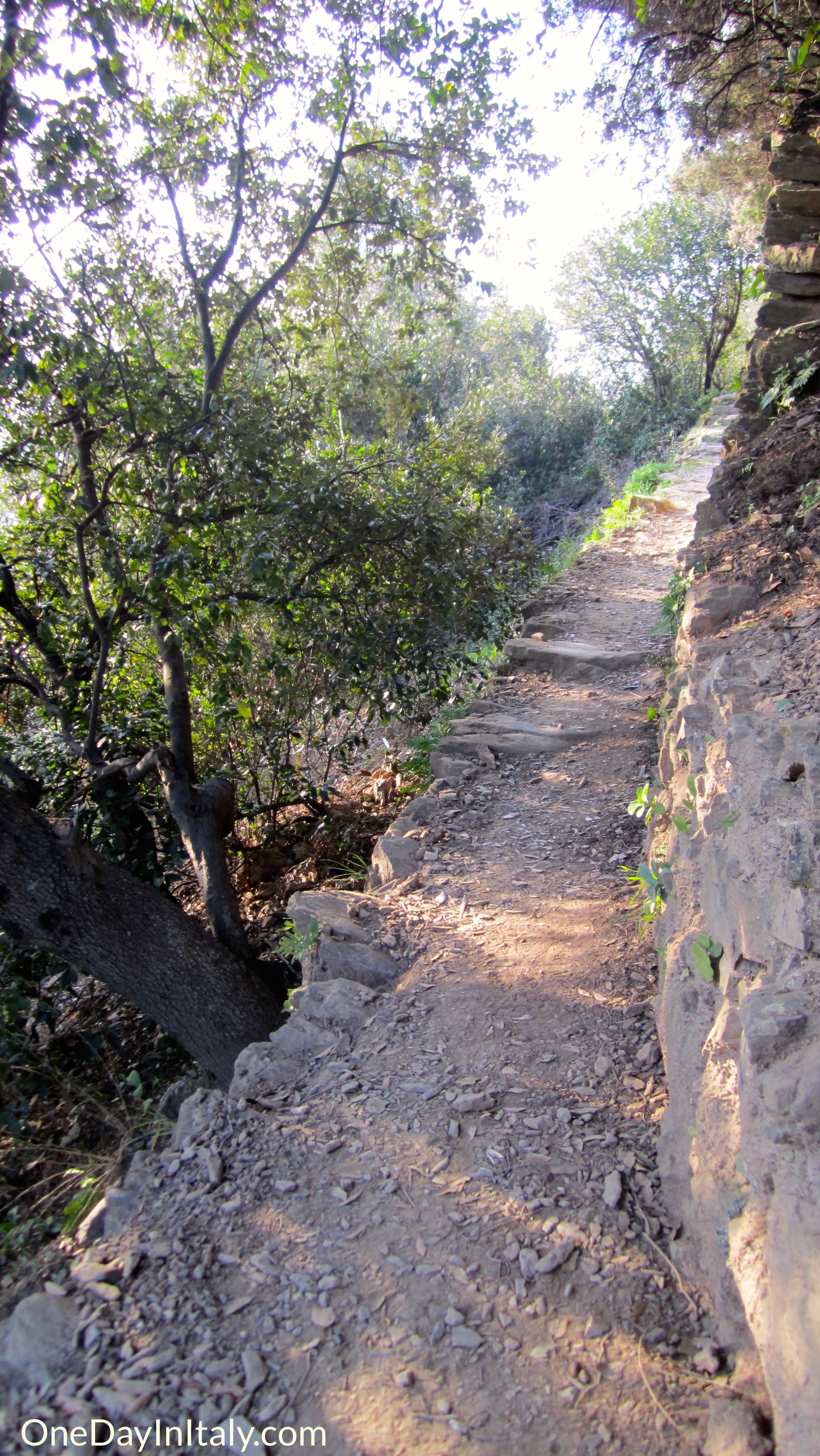 Hiking Paths