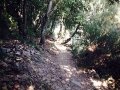 Hiking Paths