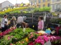 Navigli Flower Market